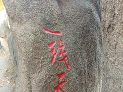 -吉林市朱雀山国家森林公园