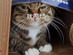 -老黄记手撕烤兔(玉林街店)