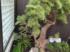 -天禧(西溪店)
