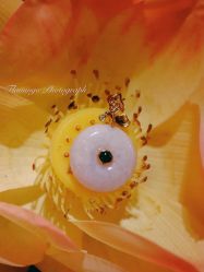 -北京七彩云南翡翠珠宝旗舰店(月坛店)