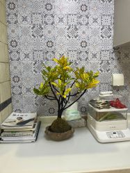 点击看大图 -橙沐普拉提瑜伽