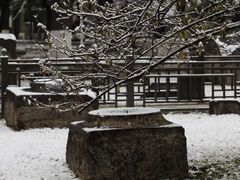 -明故宫遗址公园