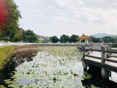-红山村
