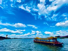 -溱湖国家湿地公园