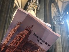 -斯蒂芬主教座堂(Stephansdom)