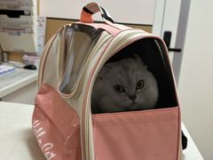 -瑞派康怡24h宠物医院·犬猫医疗中心·微创绝育(瑞景分院)
