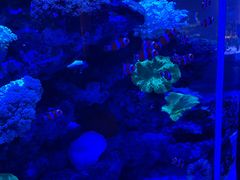 -上和臻品中国菜(花园街店)