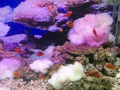 -泉州海丝野生动物世界