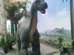 -国家自然博物馆