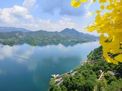 -仙岛湖旅游风景区