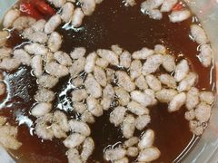 -红鼻子桂林米粉(金唐新光界店)
