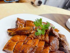 -烧鹅妹饭店