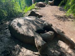 -上海佘山国家森林公园西佘山园