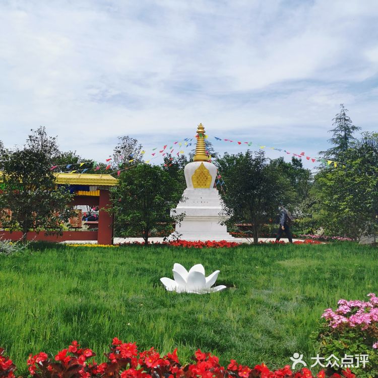 2021年第十届花博会在上海开幕啦❗❗