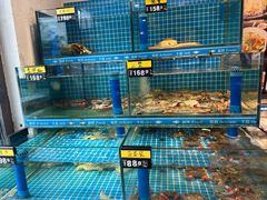 -鲜鲜·鲅鱼圈海鲜(于洪店)