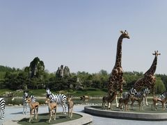 -北京野生动物园