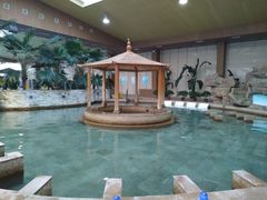-陆地游轮吉林神农温泉