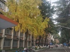 -四川大学(望江校区)
