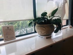 -意廊 Hair Salon