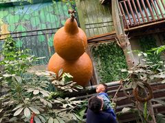 -呀路古热带植物园