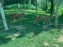 -北京野生动物园