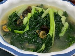 -优之名鹅城