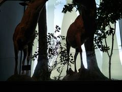 -扬州科技馆