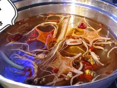 -千岛蚝高压锅生蚝·人参火锅(白云万达店)