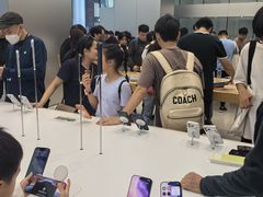 -Apple 零售店(Canton Road)