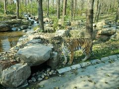 -北京野生动物园