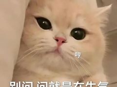 -北京国贸大酒店