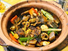 -天宝食坊·啫啫煲大排档(西华路店)