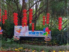 -广州长隆飞鸟乐园