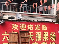 -天强农家菜馆