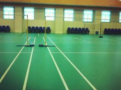-莘城学校羽毛球馆