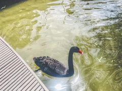-龙熙维景国际会议中心