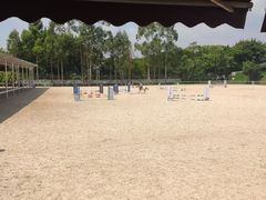 -光明农场大观园