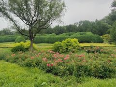 -滨河世纪广场公园