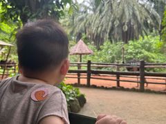 -海南热带野生动植物园