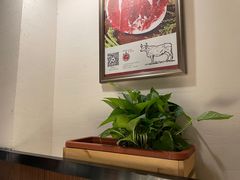 -八合里牛肉火锅(深圳龙华硅谷店)
