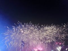 -花博汇(知音花月夜)