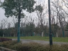 -东湖落雁景区