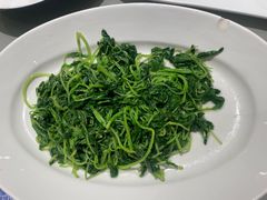 -红城阁·上海味道(四平路店)