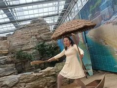 -上海鲜花港