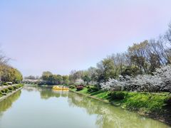 -上海海湾国家森林公园