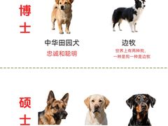 -宠乐迪宠物生活馆(德平路店)