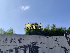 -绍兴鲁迅故里·沈园景区