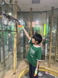 -神奇动物撸宠馆·羊驼·小浣熊·异宠(豫园店)
