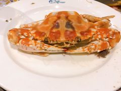 -小天鹅戴斯酒店鲸鲨百汇创作料理