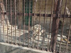 -昆明动物园